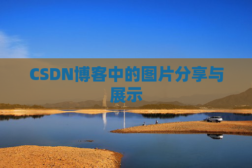 CSDN博客中的图片分享与展示